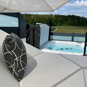 Poolhaus Bodensee Ideal Fuer Geschaeftsreisende Apartment